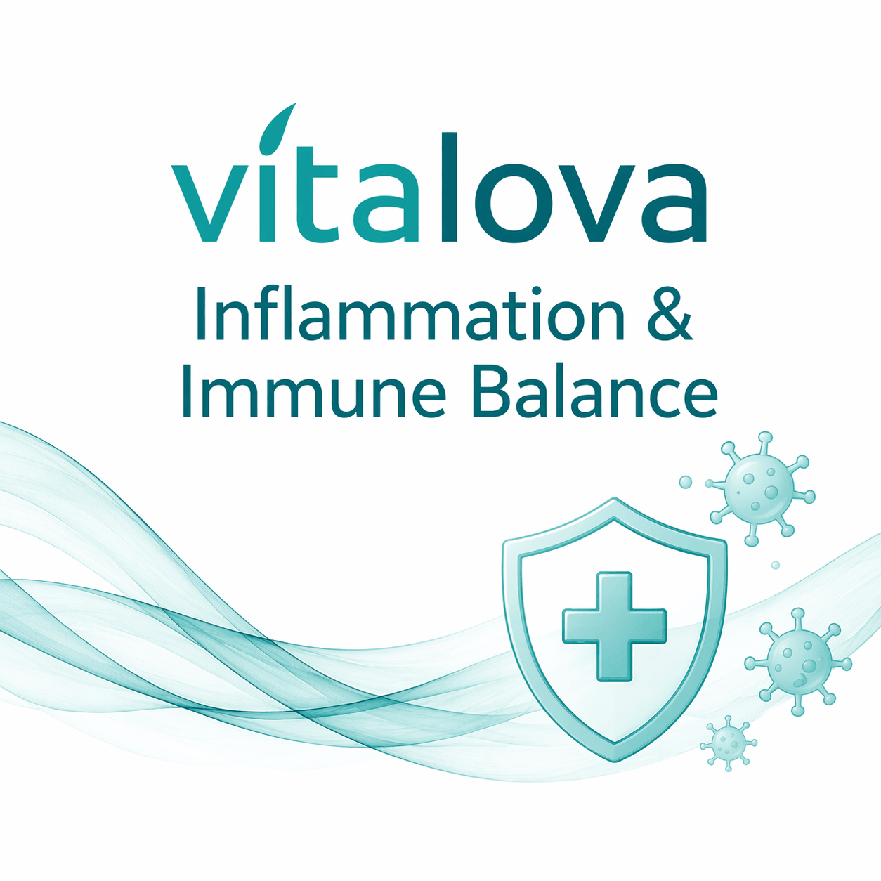 Inflammation & Immune Balance Panel – Baseline, During and Post blood test monitoring for inflammation and immune health
