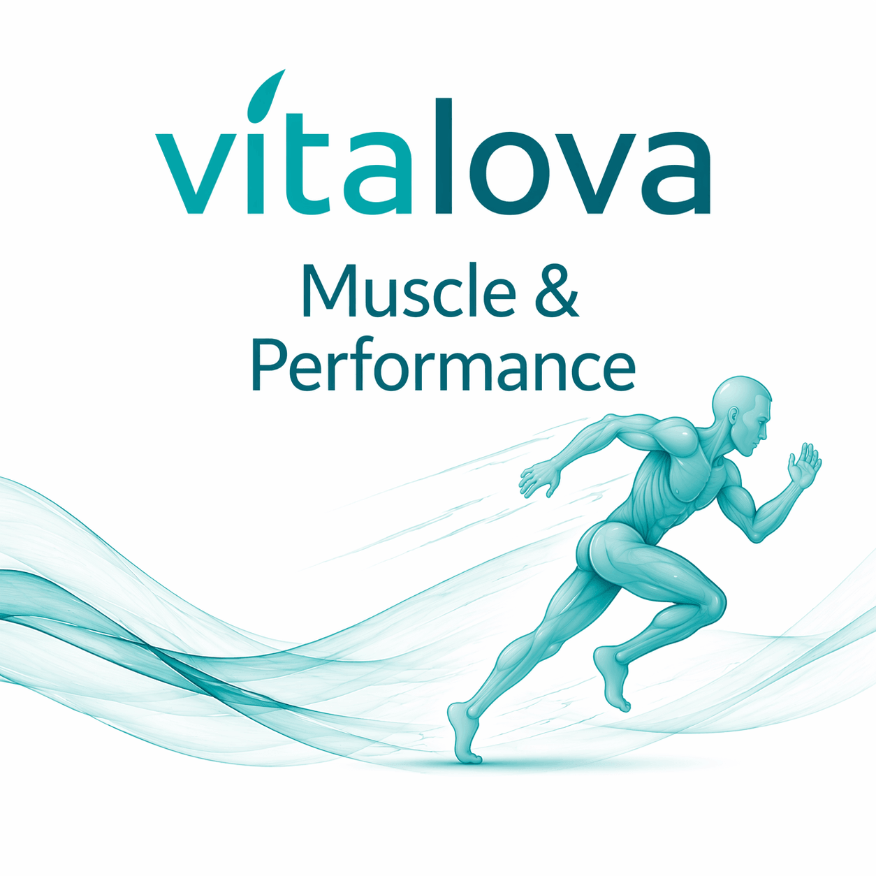 Muscle & Performance Panel – Baseline, During and Post blood test monitoring for muscle growth and athletic performance